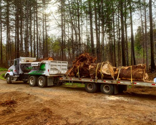 Trucking Services Residential 2